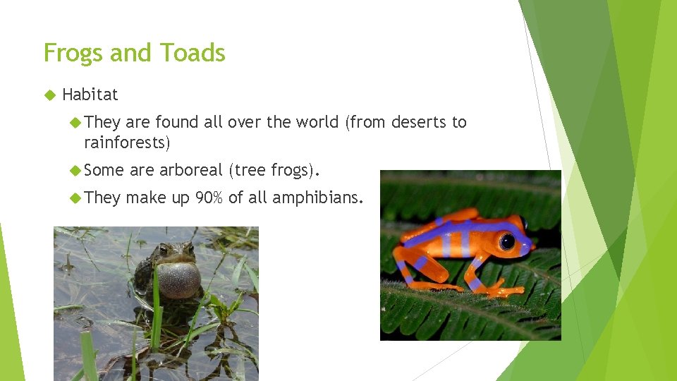 Frogs and Toads Habitat They are found all over the world (from deserts to