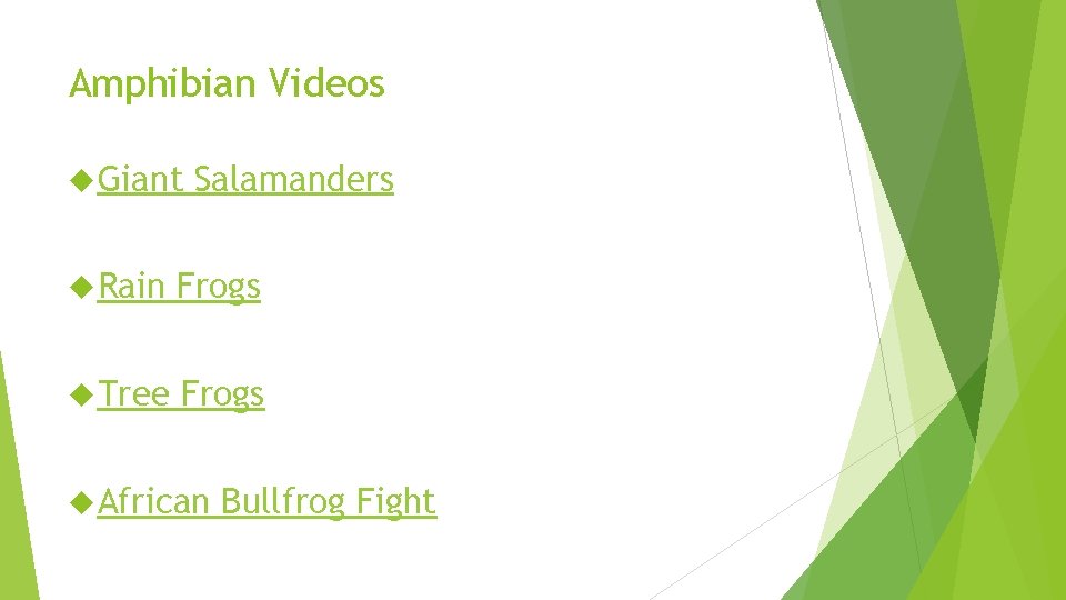 Amphibian Videos Giant Salamanders Rain Frogs Tree Frogs African Bullfrog Fight 