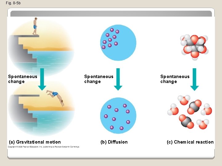 Fig. 8 -5 b Spontaneous change (a) Gravitational motion Spontaneous change (b) Diffusion Spontaneous