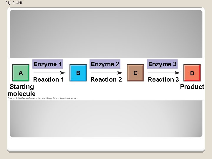 Fig. 8 -UN 1 Enzyme 1 A Reaction 1 Starting molecule Enzyme 2 B