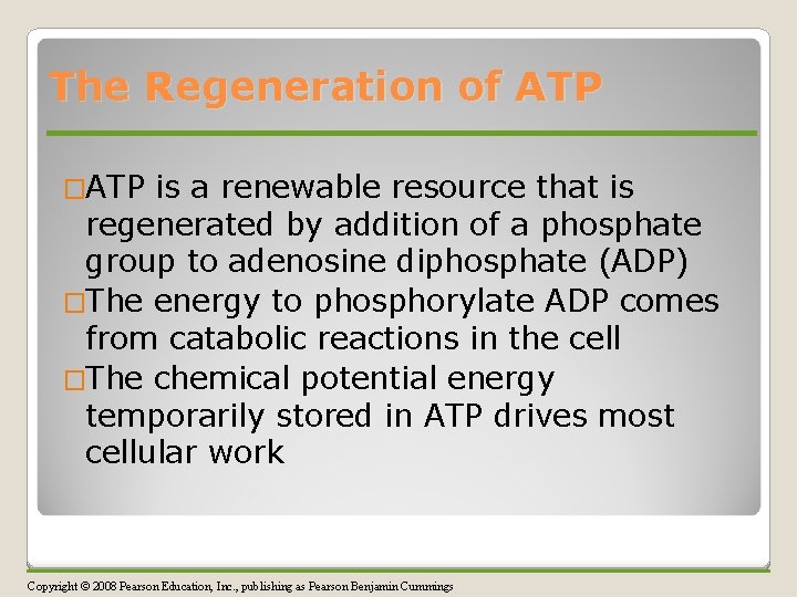 The Regeneration of ATP �ATP is a renewable resource that is regenerated by addition