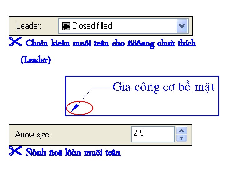  Choïn kieåu muõi teân cho ñöôøng chuù thích (Leader) Ñònh ñoä lôùn muõi