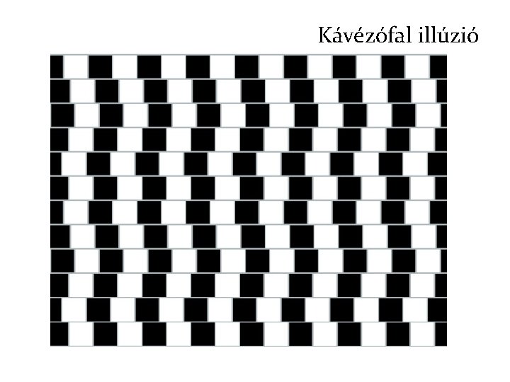 Kávézófal illúzió 