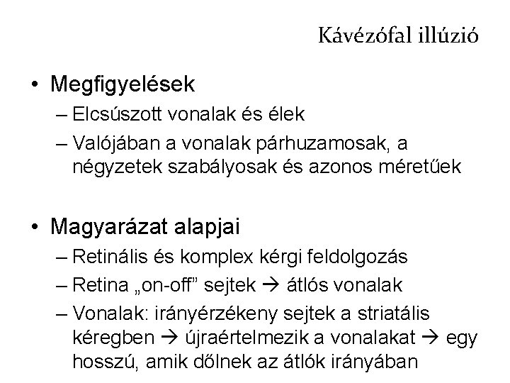 Kávézófal illúzió • Megfigyelések – Elcsúszott vonalak és élek – Valójában a vonalak párhuzamosak,