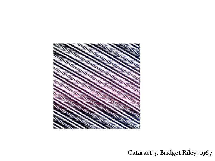 Cataract 3, Bridget Riley, 1967 