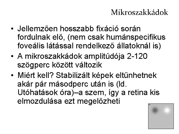 Mikroszakkádok • Jellemzően hosszabb fixáció során fordulnak elő, (nem csak humánspecifikus foveális látással rendelkező