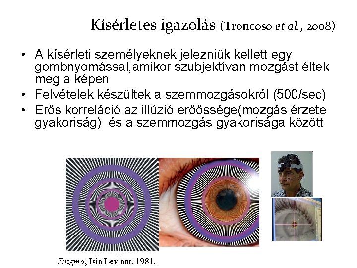 Kísérletes igazolás (Troncoso et al. , 2008) • A kísérleti személyeknek jelezniük kellett egy