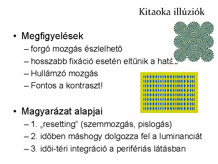 Kitaoka illúziók • Megfigyelések – forgó mozgás észlelhető – hosszabb fixáció esetén eltűnik a