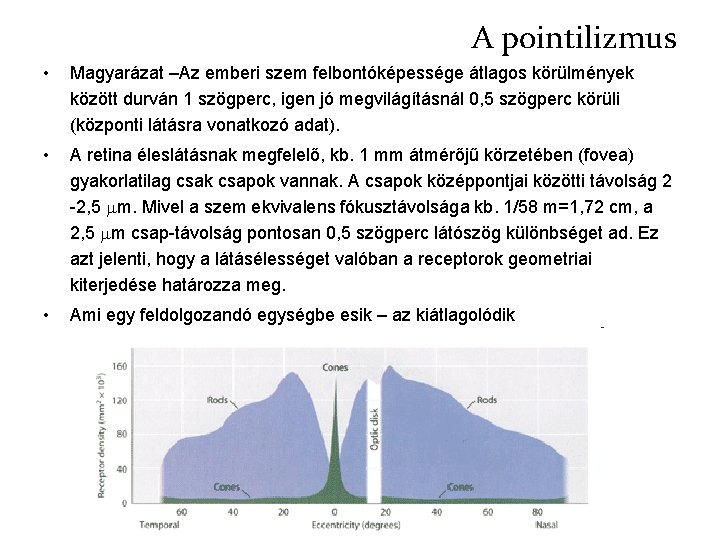 A pointilizmus • Magyarázat –Az emberi szem felbontóképessége átlagos körülmények között durván 1 szögperc,