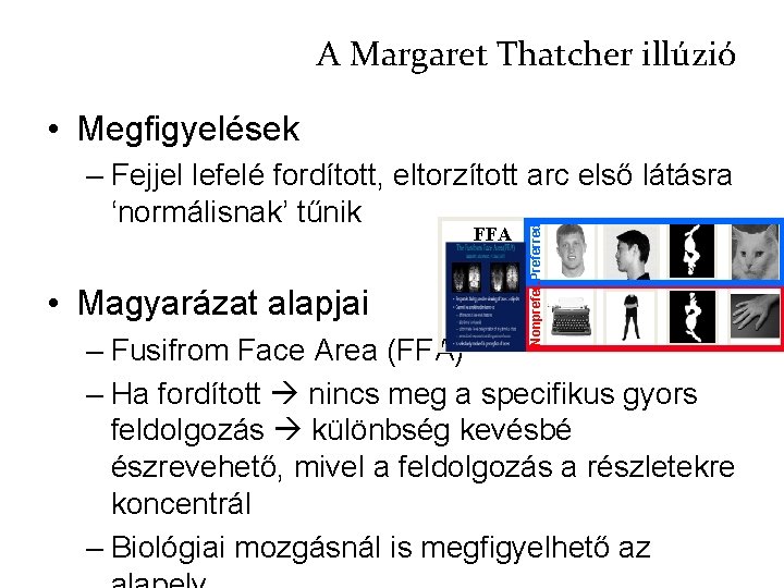 A Margaret Thatcher illúzió • Megfigyelések FFA • Magyarázat alapjai Nonprefer. Preferred – Fejjel