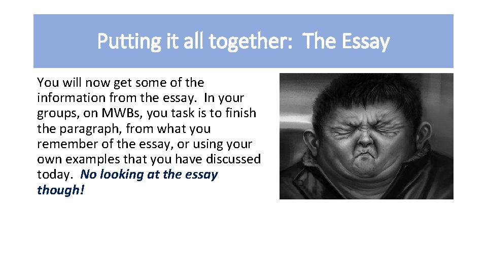 Putting it all together: The Essay You will now get some of the information