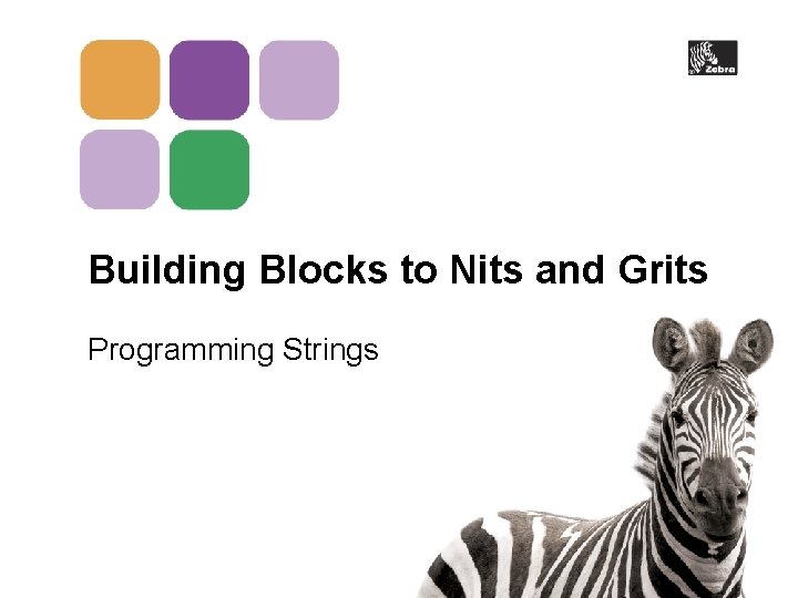 Building Blocks to Nits and Grits Programming Strings 
