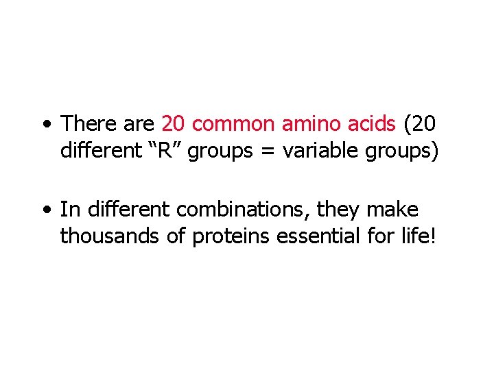  • There are 20 common amino acids (20 different “R” groups = variable