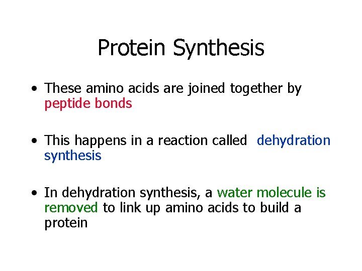 Protein Synthesis • These amino acids are joined together by peptide bonds • This