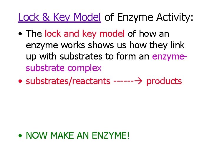 Lock & Key Model of Enzyme Activity: • The lock and key model of