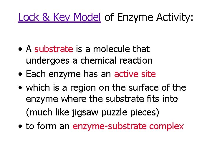 Lock & Key Model of Enzyme Activity: • A substrate is a molecule that