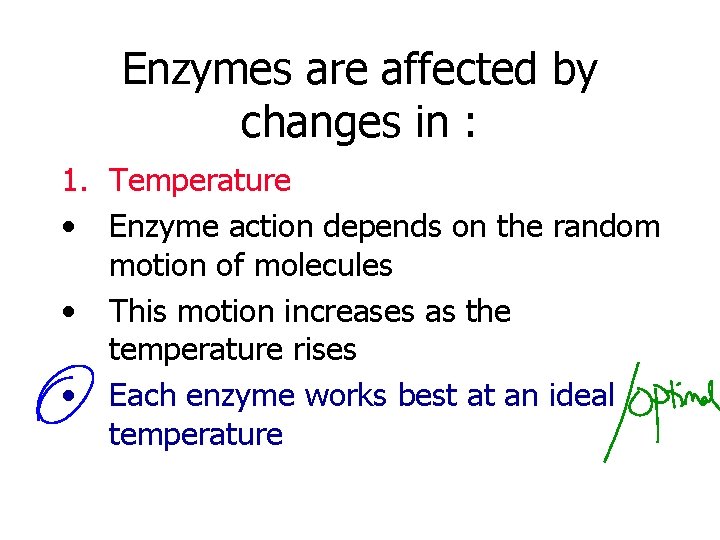 Enzymes are affected by changes in : 1. Temperature • Enzyme action depends on