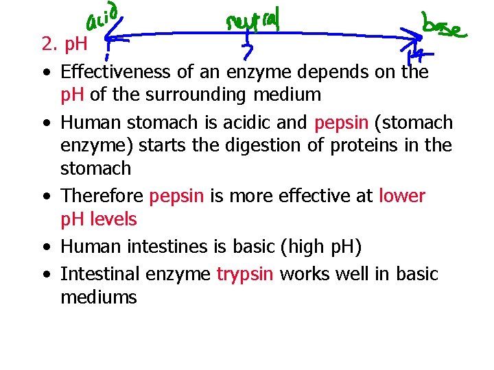 2. p. H • Effectiveness of an enzyme depends on the p. H of