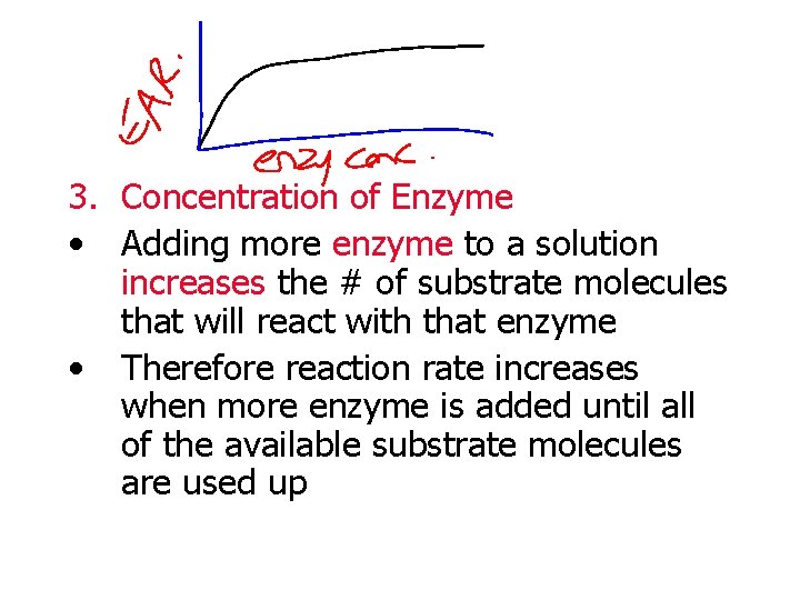 3. Concentration of Enzyme • Adding more enzyme to a solution increases the #