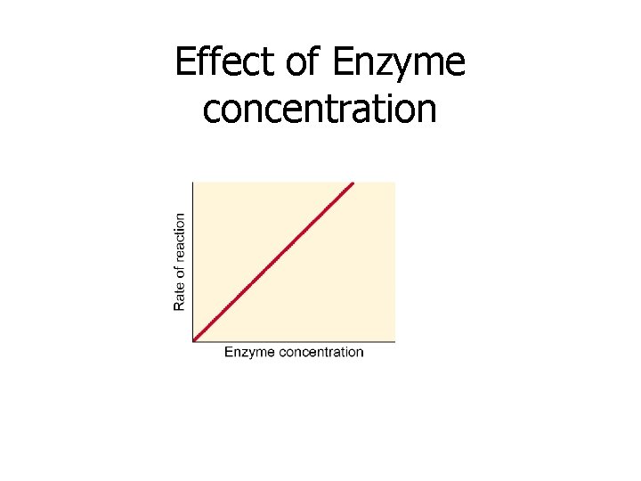 Effect of Enzyme concentration 