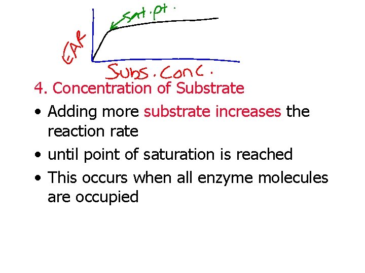 4. Concentration of Substrate • Adding more substrate increases the reaction rate • until