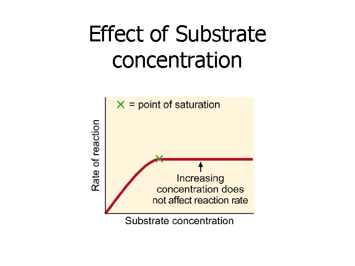 Effect of Substrate concentration 