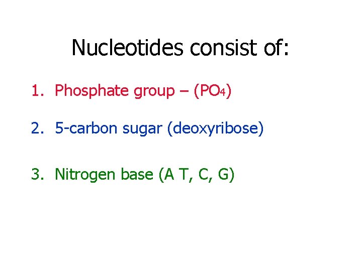 Nucleotides consist of: 1. Phosphate group – (PO 4) 2. 5 -carbon sugar (deoxyribose)