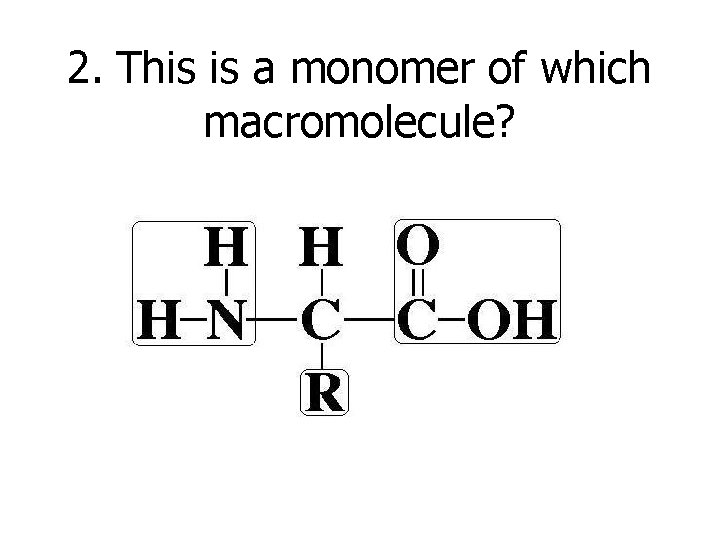 2. This is a monomer of which macromolecule? 