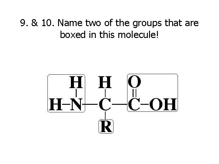 9. & 10. Name two of the groups that are boxed in this molecule!