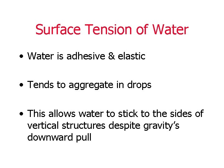 Surface Tension of Water • Water is adhesive & elastic • Tends to aggregate