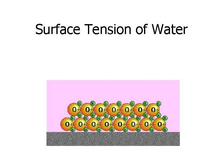 Surface Tension of Water 