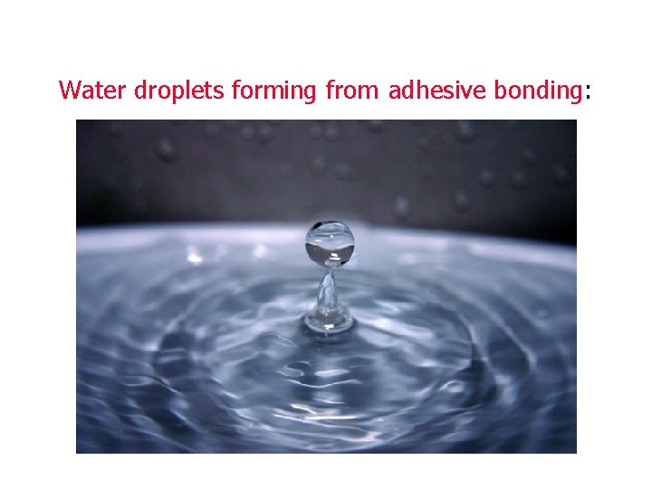 Water droplets forming from adhesive bonding: 