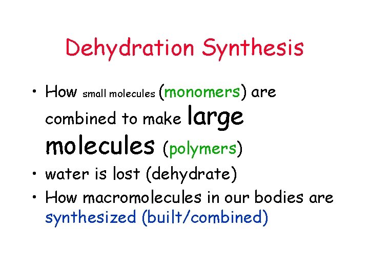 Dehydration Synthesis • How small molecules (monomers) are combined to make molecules large (polymers)