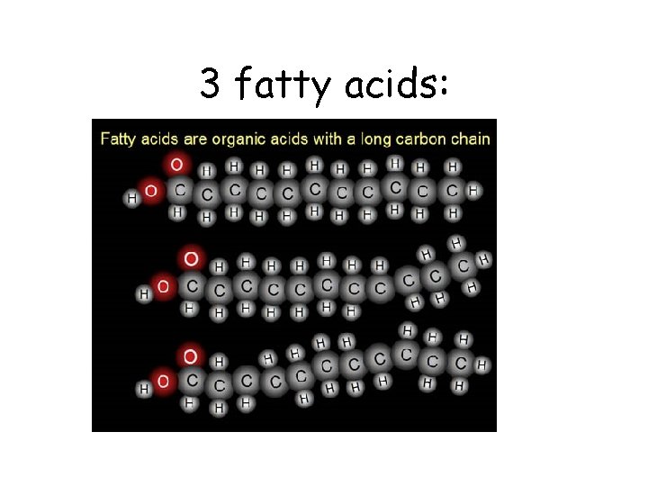 3 fatty acids: 