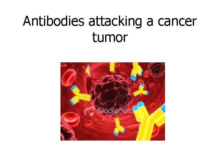 Antibodies attacking a cancer tumor 