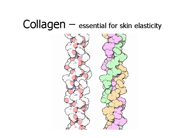 Collagen – essential for skin elasticity 