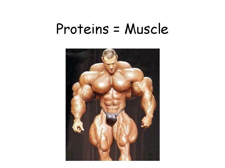 Proteins = Muscle 