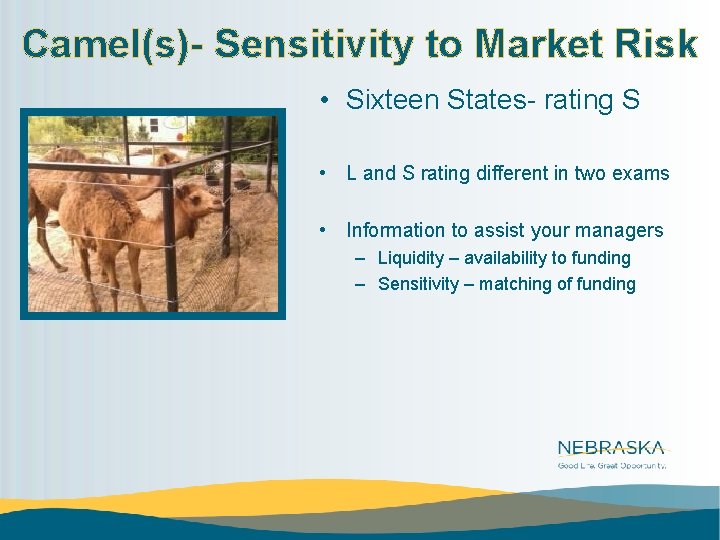 Camel(s)- Sensitivity to Market Risk • Sixteen States- rating S • L and S