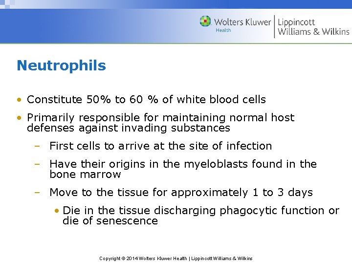 Neutrophils • Constitute 50% to 60 % of white blood cells • Primarily responsible
