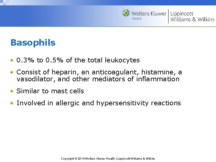 Basophils • 0. 3% to 0. 5% of the total leukocytes • Consist of