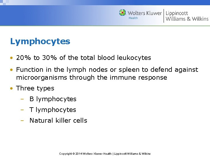 Lymphocytes • 20% to 30% of the total blood leukocytes • Function in the