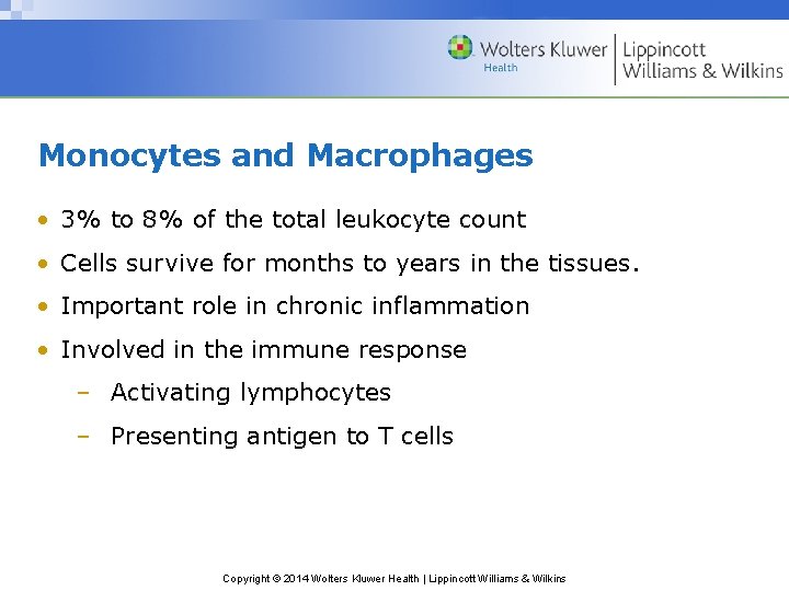 Monocytes and Macrophages • 3% to 8% of the total leukocyte count • Cells