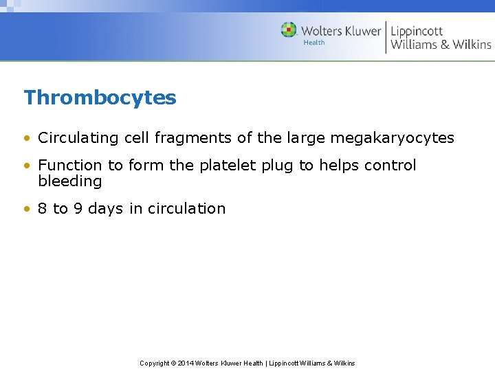 Thrombocytes • Circulating cell fragments of the large megakaryocytes • Function to form the