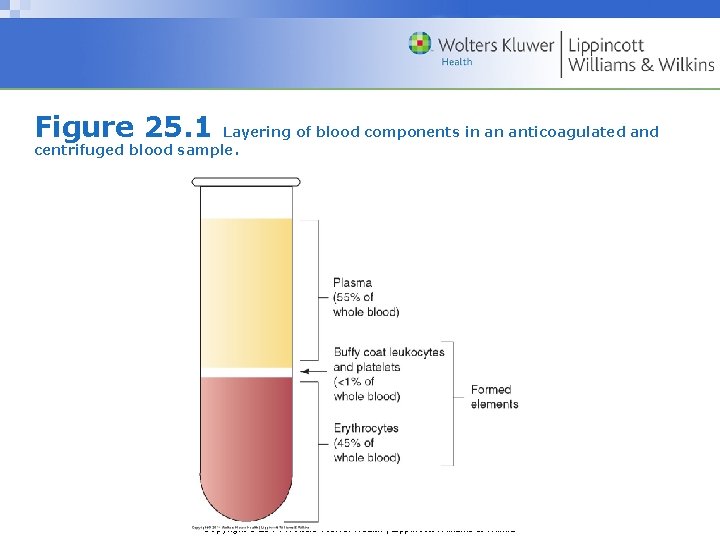 Figure 25. 1 Layering of blood components in an anticoagulated and centrifuged blood sample.