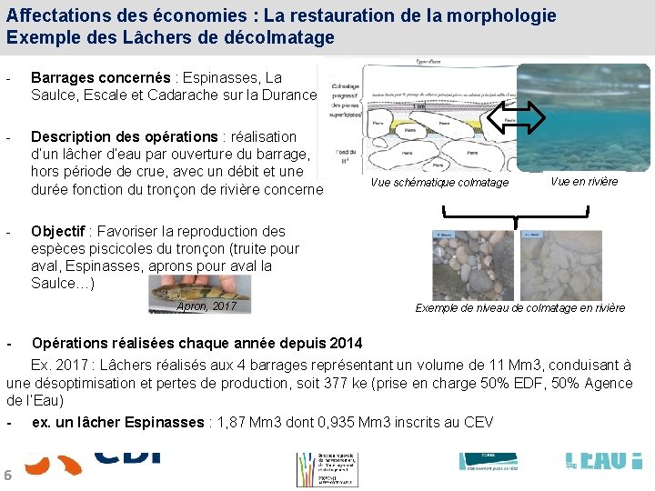 Affectations des économies : La restauration de la morphologie Exemple des Lâchers de décolmatage