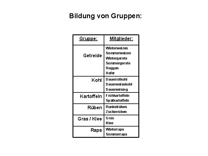 Bildung von Gruppen: Gruppe: Getreide Kohl Kartoffeln Rüben Gras / Klee Raps Mitglieder: Winterweizen