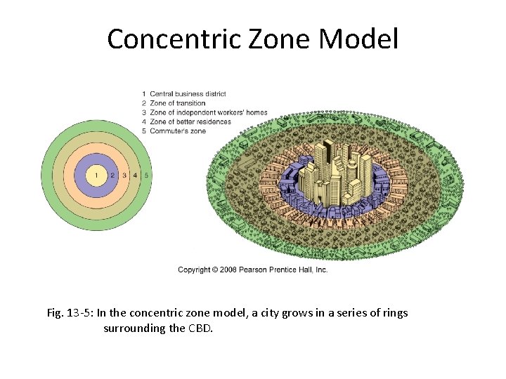 Concentric Zone Model Fig. 13 -5: In the concentric zone model, a city grows