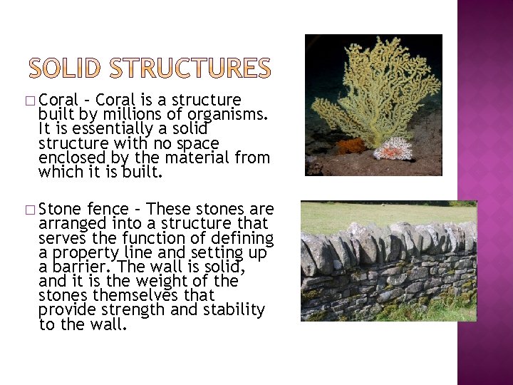 � Coral – Coral is a structure built by millions of organisms. It is