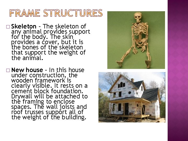 � Skeleton – The skeleton of any animal provides support for the body. The