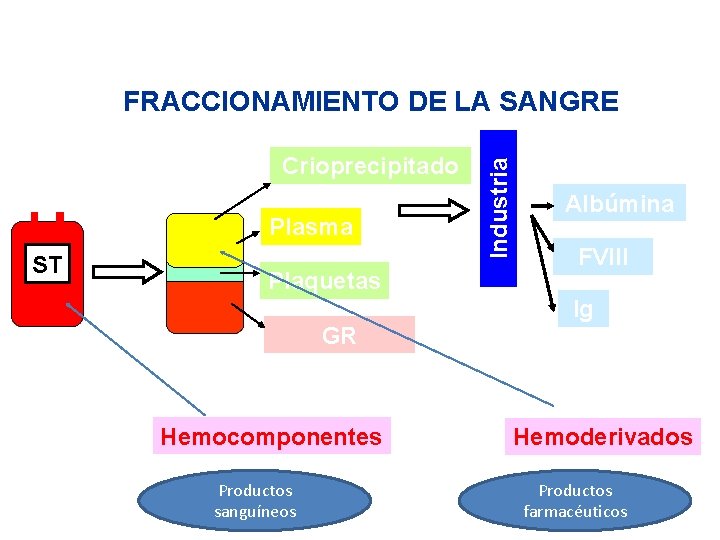 Crioprecipitado Plasma ST Plaquetas GR Hemocomponentes Productos sanguíneos Industria FRACCIONAMIENTO DE LA SANGRE Albúmina